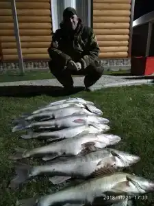 Промысловая - 2