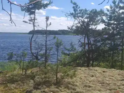 Белый Дельфин - 25