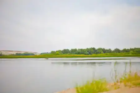 Донские Просторы - 21
