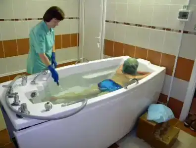 Русский лес - 25