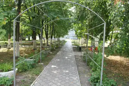 Соловьиные зори - 2