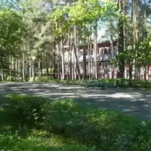 Лесная сказка - 1