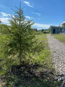 Карелия Парк - 73