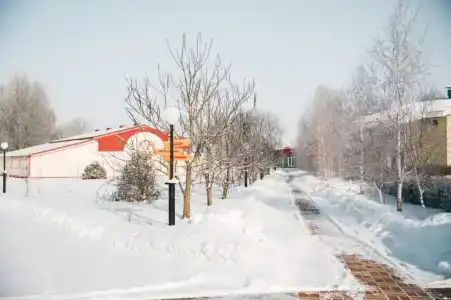 Славянка - 22