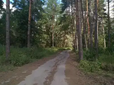 Олимп - 34