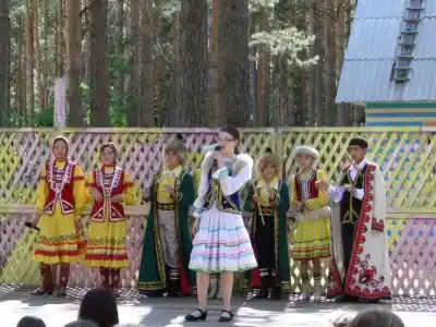 Новокемп - 8