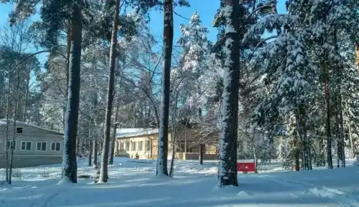 Рубин - 74