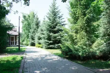 Радуга - 43