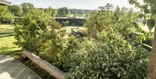 Беловежское Поместье - 98