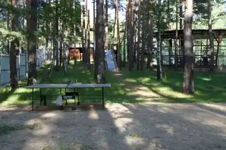 Саянский домик - 40