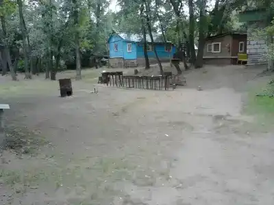 Бодрость - 39