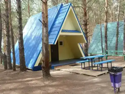 Ясная поляна - 0