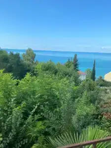 у Людмилы - 13
