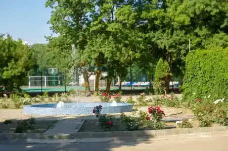 Криница - 10
