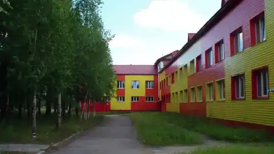 Кедр - 16