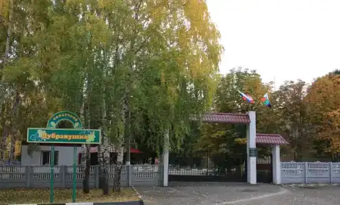 Дубравушка - 8
