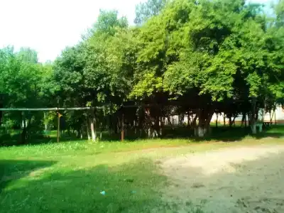 Берёзка - 1
