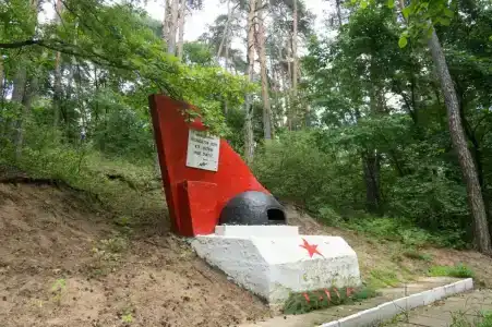 Сосновый бор - 7