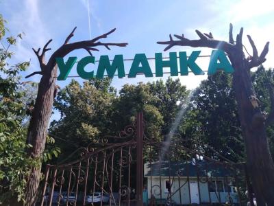 Усманка - 44