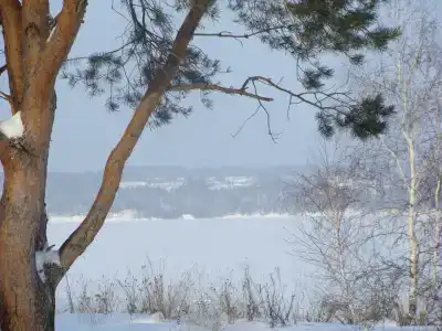Жемчужина - 1
