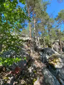 Карелия Парк - 86