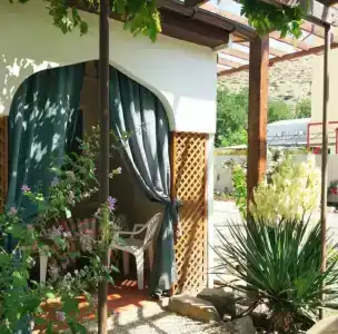 Ibrahim Evi - 0