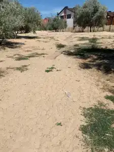 Золотой берег - 33