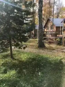 ЛесНица - 26