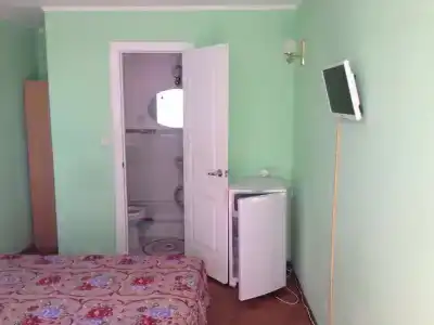 Стрижи - 11