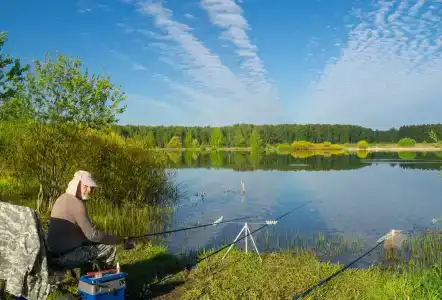 Баскак - 52