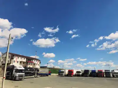 У Альберта - 9