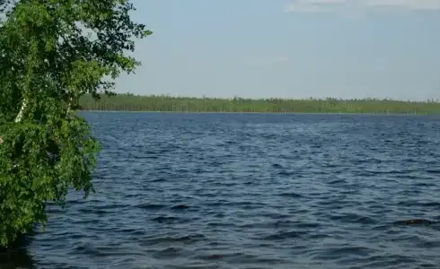 Малые Чертаны - 4