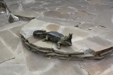 Тихий Причал - 35