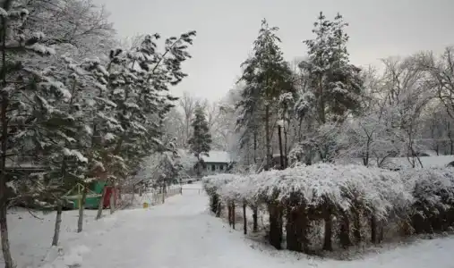 Отдых на Волге - 37