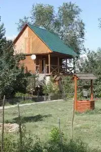 Капитан - 10