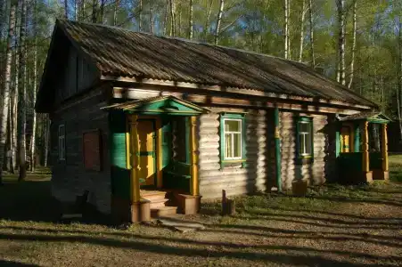Подсолнухи - 7