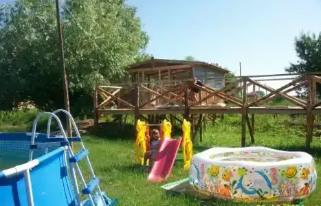 Олигри Фиш - 3