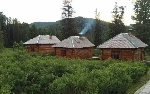 Снежный барс - 5