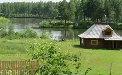 Потапыч - 1