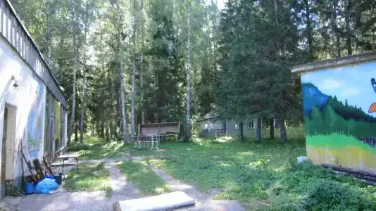 Лесной Родник - 40
