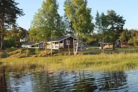 Белые Росы - 7