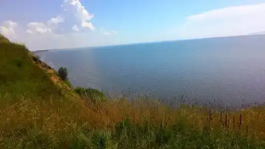 Болгар - 37