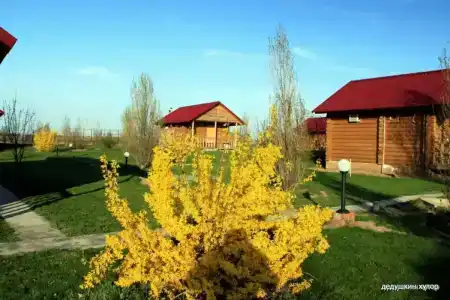 Дедушкин хутор - 30