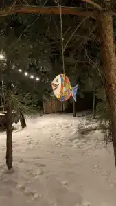 В гостях у Лешего - 24