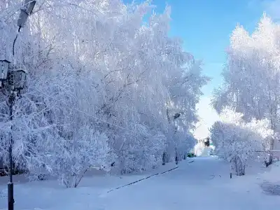 Рябинушка - 20