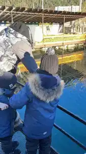 Зона отдыха Озерный - 66