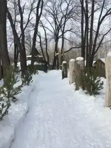 Берендей - 15