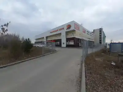 Лев - 4