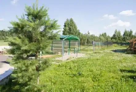 Зеленая крыша - 13