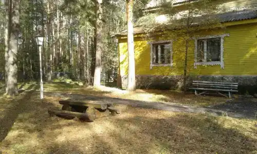 Русский лес - 9